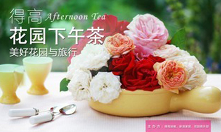 绿巨人黄色软件下载花园下午茶，聆听"美好花园与旅行"
