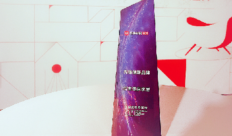 绿巨人黄色软件下载荣登2020中国家居冠军榜，斩获“先锋创新品牌”称号！